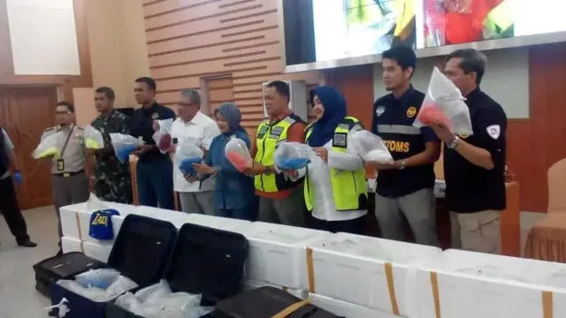 Upaya Penyelundupan Benih Lopster di Bandara Soetta Digagalkan Petugas Upaya Penyelundupan Benih Lopster di Bandara Soetta Digagalkan Petugas