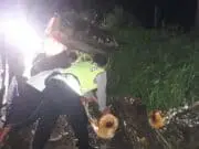 Anggota Polsek Cimarga, Bantu Warga Potong Pohon Tumbang
