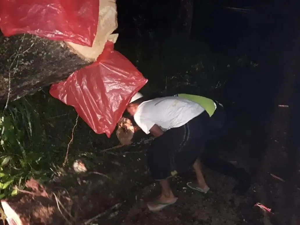 Anggota Polsek Cimarga, Bantu Warga Potong Pohon Tumbang