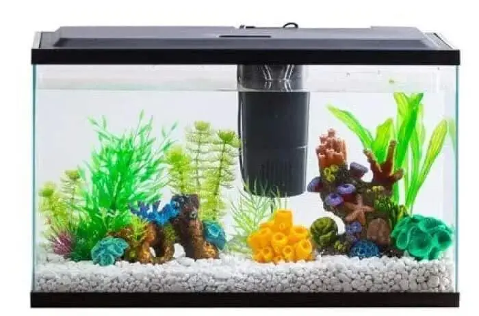Murah Meriah, Ini Inspirasi Hiasan Aquarium Cantik dan Modern! Murah Meriah, Ini Inspirasi Hiasan Aquarium Cantik dan Modern!