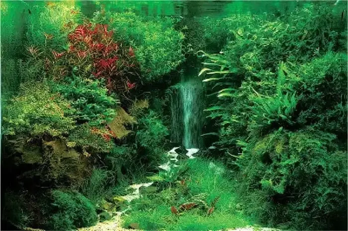 Murah Meriah, Ini Inspirasi Hiasan Aquarium Cantik dan Modern! Murah Meriah, Ini Inspirasi Hiasan Aquarium Cantik dan Modern!