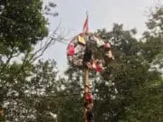 Kemeriahan HUT RI Ke 74, Kelurahan Babakan Gelar Berbagai Perlombaan Kemeriahan HUT RI Ke 74, Kelurahan Babakan Gelar Berbagai Perlombaan