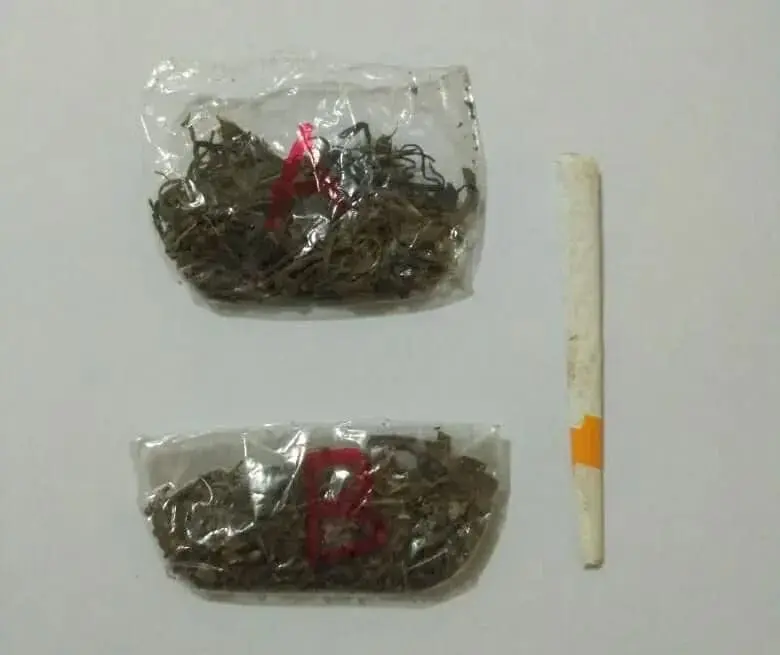 Pelaku Penyalahgunaan Narkotika Jenis Ganja Diciduk Polisi