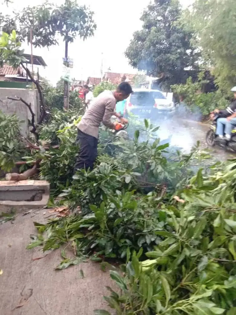 Cuaca Buruk, Ditsamapta dan Ditlantas Polda Banten Bersihkan Pohon Tumbang Cuaca Buruk, Ditsamapta dan Ditlantas Polda Banten Bersihkan Pohon Tumbang