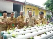 Camat Cisoka Berikan Bantuan 150 Bibit Sayur Mayur Kepada 10 Desa Camat Cisoka Berikan Bantuan 150 Bibit Sayur Mayur Kepada 10 Desa