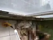 Tempati Rumah Kosong, Warga Solear Meninggal Seminggu Baru Ketahuan Tempati Rumah Kosong, Warga Solear Meninggal Seminggu Baru Ketahuan