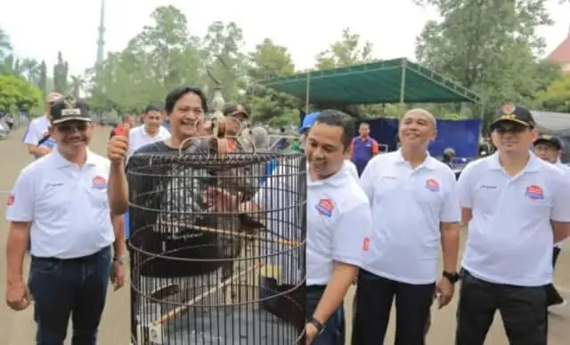 Sambut Hut Ke 27, Ribuan Komunitas Ramaikan Festival Burung Berkicau Piala Wali Kota Tangerang Sambut Hut Ke 27, Ribuan Komunitas Ramaikan Festival Burung Berkicau Piala Wali Kota Tangerang