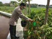 Tanam Puluhan Pohon, Kapolsek Ajak Masyarakat Hijaukan Lingkungan