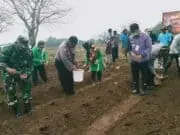 Kapolsek Rajeg Tanam Jagung Simbolis di Kelurahan Sukatani