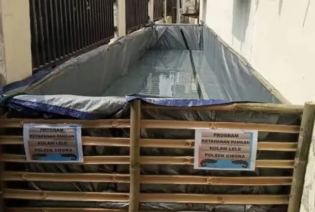 IMG-20200710-WA0075