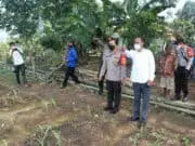Kapolresta Tangerang Cek Lahan Tidur yang Dimanfaatkan Tanam Jagung di Buniayu