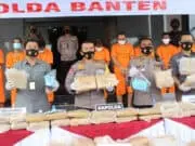 Polda Banten Tangkap 9 Penyelundup 159 Kg Ganja Antar Provinsi