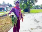 Melihat Gigihnya Nenek Karminah, Jualan Sayur di Masa Pandemi Melihat Gigihnya Nenek Karminah, Jualan Sayur di Masa Pandemi