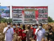 Kapolresta Tangerang Bersama Forkopimda Panen Raya Jagung Hibrida dan Ikan Lele