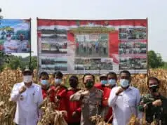 Kapolresta Tangerang Bersama Forkopimda Panen Raya Jagung Hibrida dan Ikan Lele Kapolresta Tangerang Bersama Forkopimda Panen Raya Jagung Hibrida dan Ikan Lele