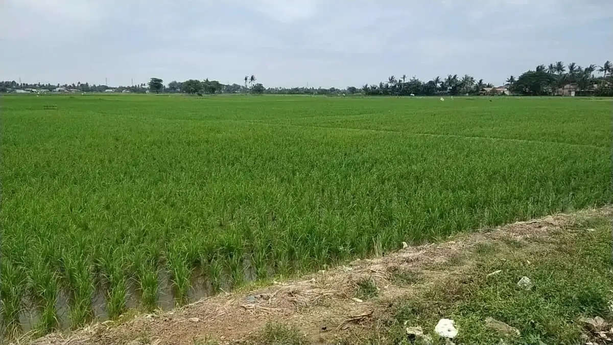 Jadi Mediator Rakyat dan Pengembang Soal Tanah, APDESI : Dampak Positifnya Banyak Sekali Jadi Mediator Rakyat dan Pengembang Soal Tanah, APDESI : Dampak Positifnya Banyak Sekali