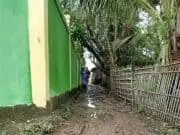 Dikeluh Warga, Jalan Mekar Baru Mirip Kubangan Kerbau