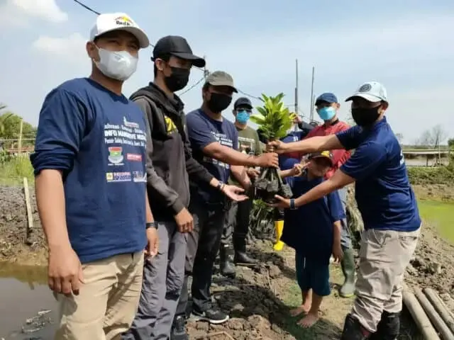 Peduli Lingkungan, IMANU, HIPMI dan HNSI Kabupaten Tangerang Tanam Mangrove di Lontar Peduli Lingkungan, IMANU, HIPMI dan HNSI Kabupaten Tangerang Tanam Mangrove di Lontar