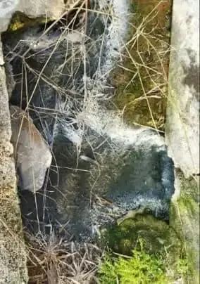 Terkai Keluhan Warga Limbah B3 PT Isano Lopo Industri, Camat Legok Akan Terun Langsung Ke Lapangan Terkai Keluhan Warga Limbah B3 PT Isano Lopo Industri, Camat Legok Akan Terun Langsung Ke Lapangan