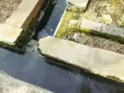 Terkai Keluhan Warga Limbah B3 PT Isano Lopo Industri, Camat Legok Akan Terun Langsung Ke Lapangan Terkai Keluhan Warga Limbah B3 PT Isano Lopo Industri, Camat Legok Akan Terun Langsung Ke Lapangan