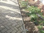 Proyek Pemasangan Paving Blok di RT 02 RW 03 Kelurahan Sukabakti Kecamatan Curug, Diduga Asal Jadi Proyek Pemasangan Paving Blok di RT 02 RW 03 Kelurahan Sukabakti Kecamatan Curug, Diduga Asal Jadi