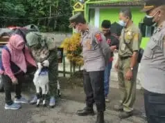 Antisipasi PMK Polres Purworejo bersama Instansi Terkait Giat Laksanakan Pemantauan Hewan Ternak Antisipasi PMK Polres Purworejo bersama Instansi Terkait Giat Laksanakan Pemantauan Hewan Ternak