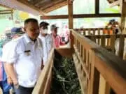 UPK DAPM Purworejo Gelar Jambore Nasional