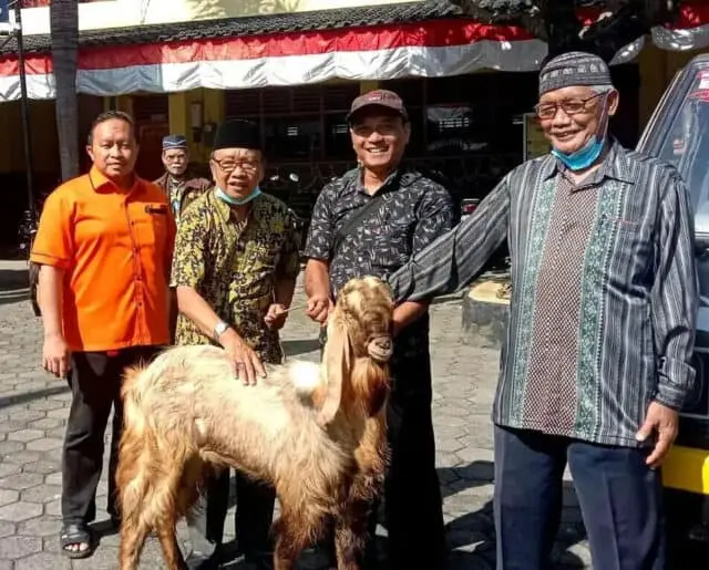 Idul Adha, SMK TKM Purworejo Sembelih 1 Ekor Sapi dan Bagikan 12 Ekor Kambing Kurban Idul Adha, SMK TKM Purworejo Sembelih 1 Ekor Sapi dan Bagikan 12 Ekor Kambing Kurban