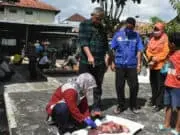 Ditemukan Hewan Kurban Terindikasi PMK Dan Hati Bercacing, Di Perumahan KBN Hewan Kurban Bebas Dari PMK