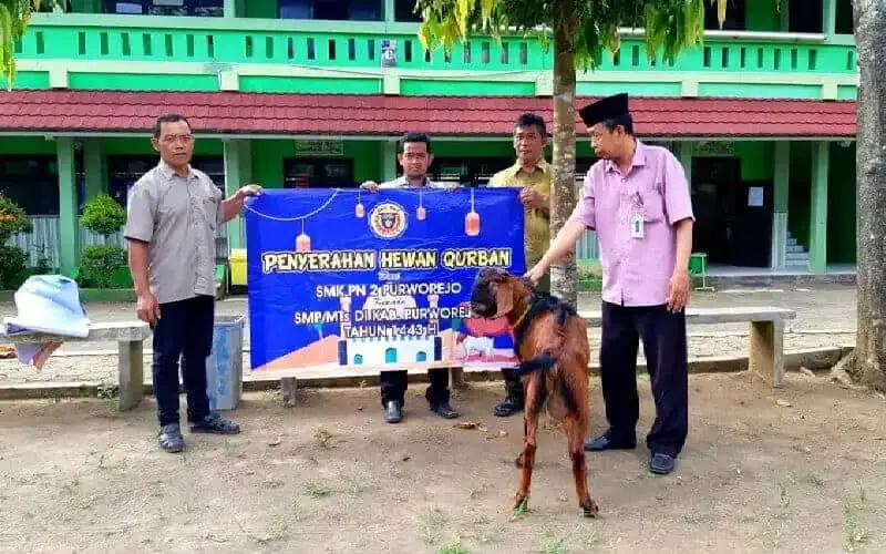Siswa SMK PN-PN 2 Purworejo Merayakan Idul Adha Dengan Belajar Berkurban Siswa SMK PN-PN 2 Purworejo Merayakan Idul Adha Dengan Belajar Berkurban