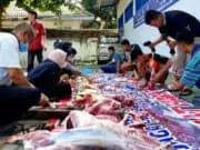 Siswa SMK PN-PN 2 Purworejo Merayakan Idul Adha Dengan Belajar Berkurban Siswa SMK PN-PN 2 Purworejo Merayakan Idul Adha Dengan Belajar Berkurban