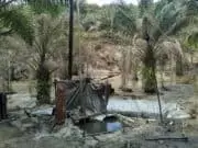 Illegal Driling di Sumur Minyak Bungku Kembali Marak Tampak sumur minyak illegal di Desa Bungku, Kabupaten Batanghari, Provinsi Jambi, kembali marak.