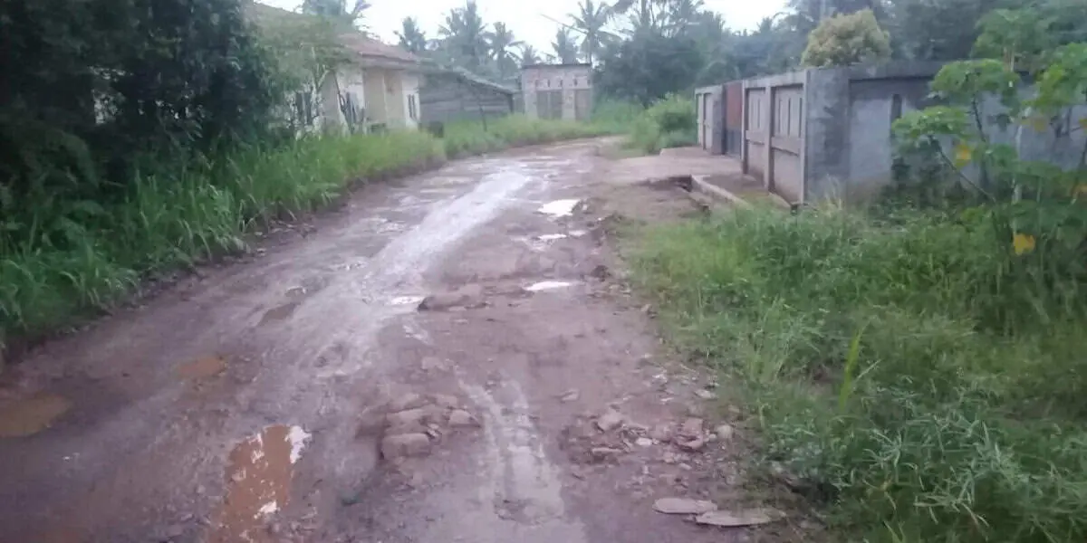 Lihat Wajah Kota Jambi Mirip Kubangan Kerbau Lihat Wajah Kota Jambi Mirip Kubangan Kerbau