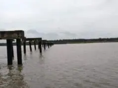 Rp 500 Miliar APBN Disedot, Pelabuhan Ujung Jabung Menjadi Proyek Mangkrak Rp 500 Miliar APBN Disedot, Pelabuhan Ujung Jabung Menjadi Proyek Mangkrak