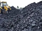 Investor Mengeluh Minta Ada Jaminan Investasi Batubara di Jambi Investasi tambang batubara di Jambi perlu ada suatu jaminan kepastian.