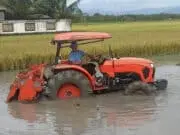 Lurah Desa Sumberejo Menjadi Pelopor Pertanian Modern di Desanya