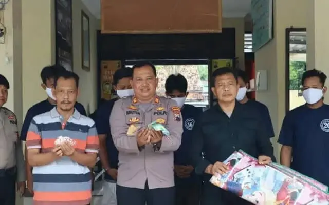 Asik Bermain Judi Domino, Lima Orang Harus Mendekam di Sel Mapolres Purworejo Asik Bermain Judi Domino, Lima Orang Harus Mendekam di Sel Mapolres Purworejo