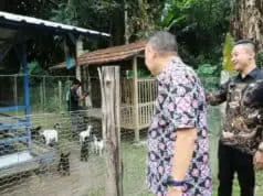 Di Kebon Gunung Bupati Berharap “Lurie Sae Farm” Dapat Menjadi Wisata Edukasi