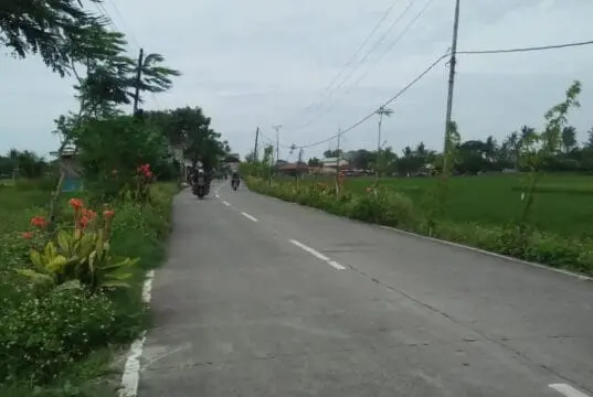 Minim Lampu PJU, Jalan Raya Lintas Desa Ketapang Rawan Kecelakaan Saat Malam Minim Lampu PJU, Jalan Raya Lintas Desa Ketapang Rawan Kecelakaan Saat Malam