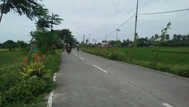 Minim Lampu PJU, Jalan Raya Lintas Desa Ketapang Rawan Kecelakaan Saat Malam Minim Lampu PJU, Jalan Raya Lintas Desa Ketapang Rawan Kecelakaan Saat Malam