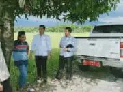 Turunnya Harga Gabah Padi, Distannak Nagan Raya Buka Suara