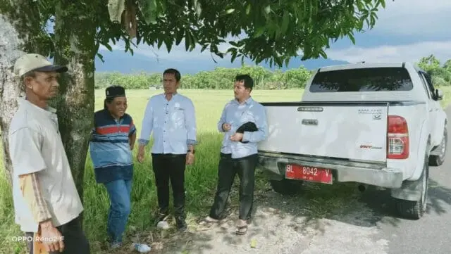Turunnya Harga Gabah Padi, Distannak Nagan Raya Buka Suara Turunnya Harga Gabah Padi, Distannak Nagan Raya Buka Suara