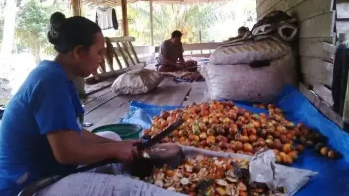 Kadin Jambi Ungkap Anjloknya Harga Karet dan Pinang Permainan Pihak Asing Kadin Jambi Ungkap Anjloknya Harga Karet dan Pinang Permainan Pihak Asing