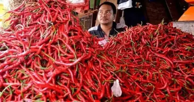 IMG-20230429-WA0000 Harga Cabe Merah di Jambi anjol ke harga Rp 15.000/Kilogram.