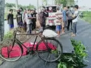 Mencari Pakan Ternak Kakek Meninggal Jatuh dari Pohon Mahoni
