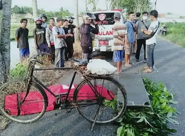Mencari Pakan Ternak Kakek Meninggal Jatuh dari Pohon Mahoni Mencari Pakan Ternak Kakek Meninggal Jatuh dari Pohon Mahoni