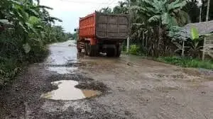 Lihat dan perhatikan ruas jalan yang rusak di Tanjabtim. Ini ruas Jalan Provinsi dan bukan ruas Jalan Kabupaten.
