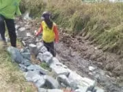 Tanpa Papan Proyek, Aktivis Pantura Soroti Proyek Irigasi P3A di Mauk Timur