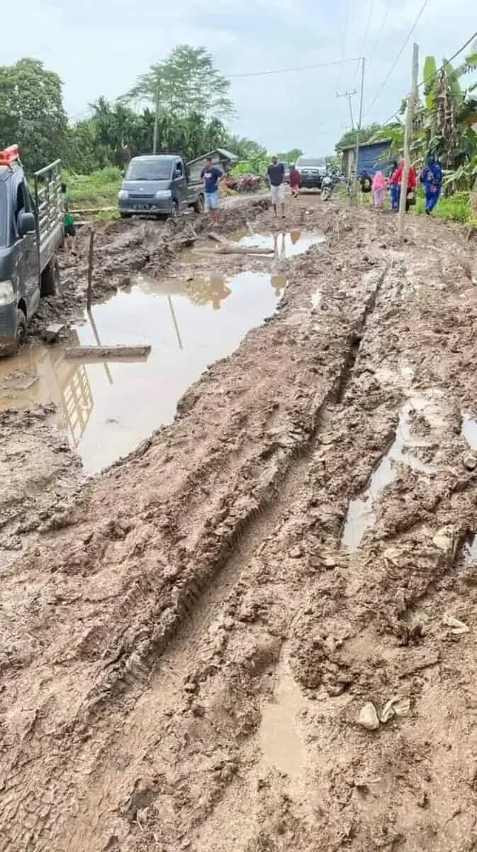 Presiden Jokowi Batal Tinjau Jalan Rusak di Tanjabtim, Romi Tidak Ada Rekayasa Presiden Jokowi Batal Tinjau Jalan Rusak di Tanjabtim, Romi Tidak Ada Rekayasa