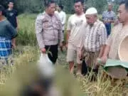 Warga Kuwarasan Ditemukan Meninggal di Pematang Sawah Saat Memanen Padi